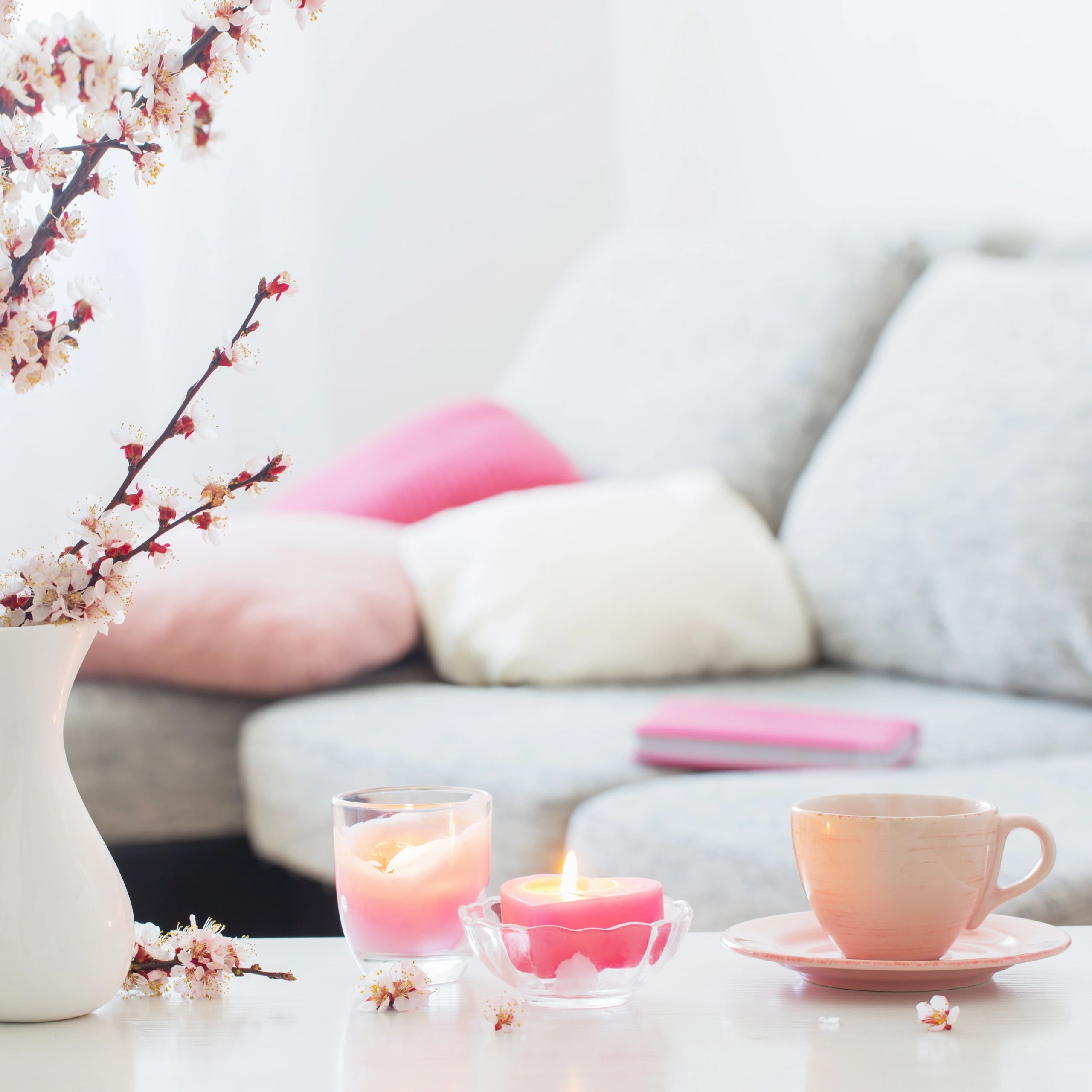 Pink flowers in a bright interior